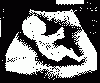 29a8f4387006771a9f131f9a058095b7.gif